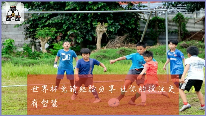 世界杯竞猜经验分享 让你的投注更有智慧