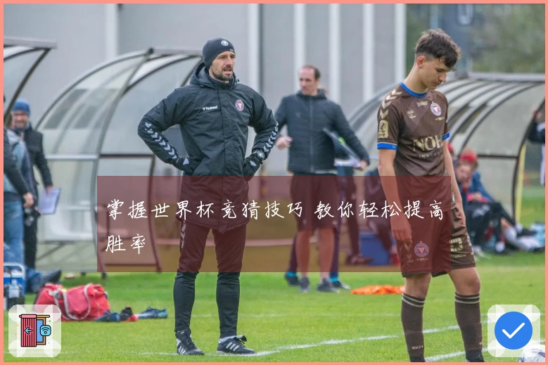 掌握世界杯竞猜技巧 教你轻松提高胜率
