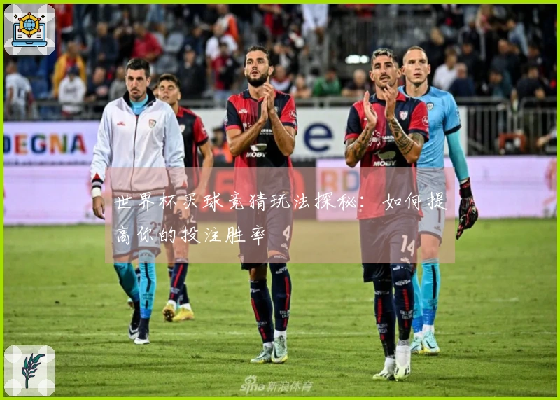 世界杯买球竞猜玩法探秘：如何提高你的投注胜率