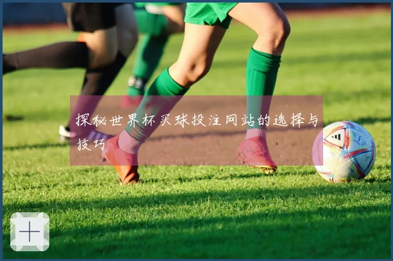 探秘世界杯买球投注网站的选择与技巧