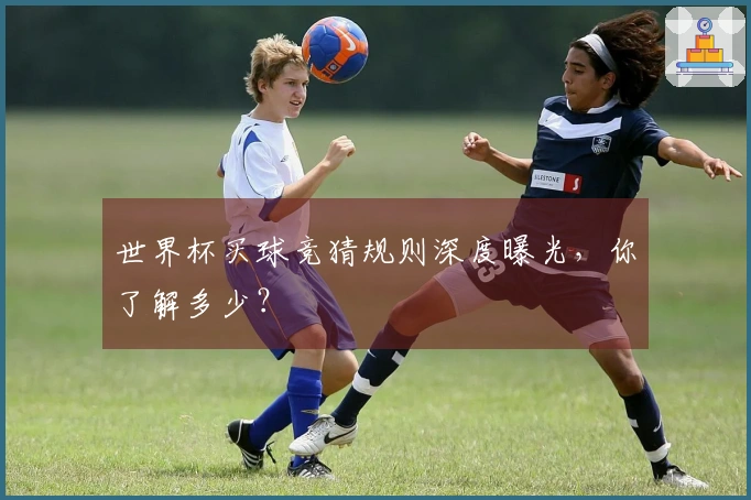 世界杯买球竞猜规则深度曝光，你了解多少？