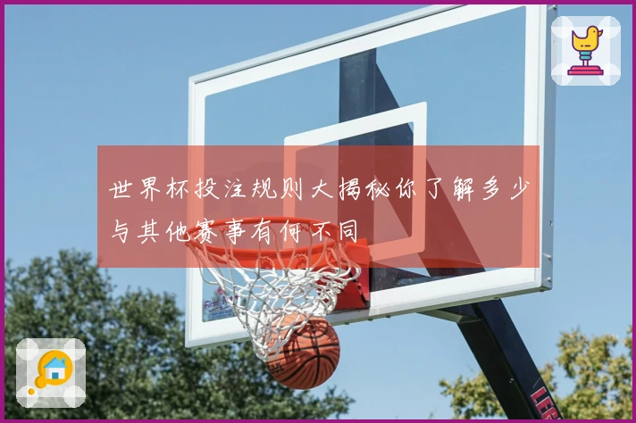 世界杯投注规则大揭秘你了解多少与其他赛事有何不同