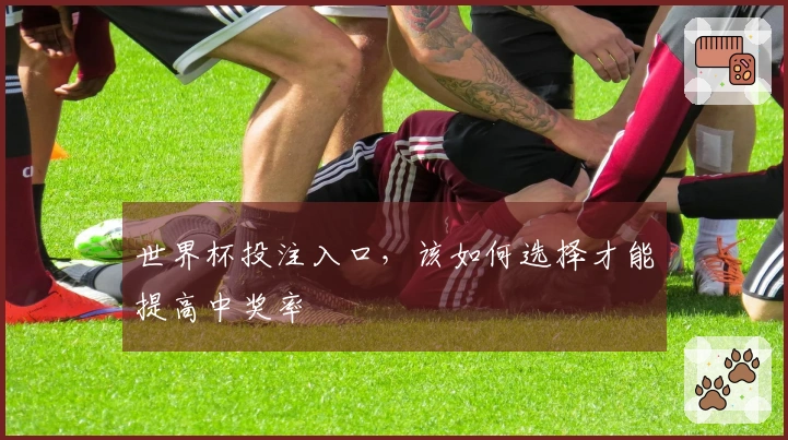 世界杯投注入口，该如何选择才能提高中奖率