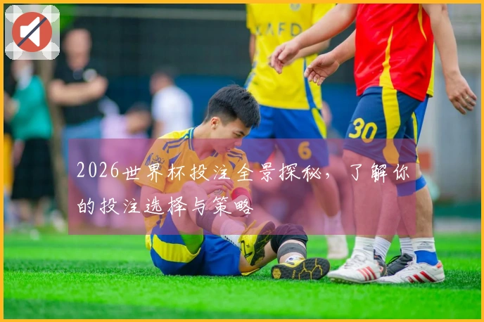 2026世界杯投注全景探秘，了解你的投注选择与策略