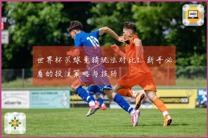 世界杯买球竞猜玩法对比：新手必看的投注策略与技巧
