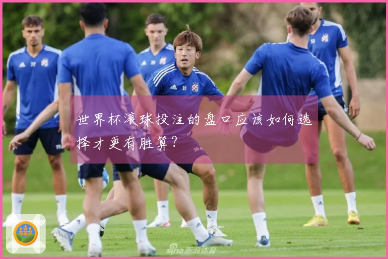 世界杯滚球投注的盘口应该如何选择才更有胜算？