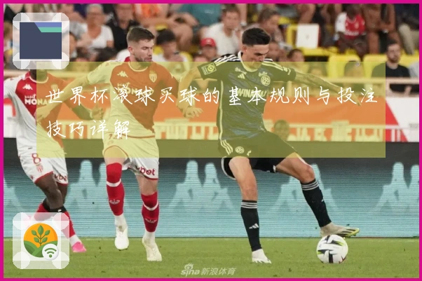 世界杯滚球买球的基本规则与投注技巧详解