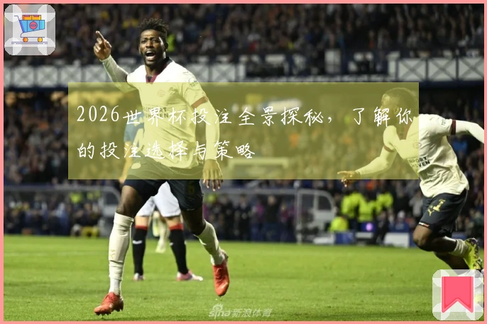 2026世界杯投注全景探秘，了解你的投注选择与策略